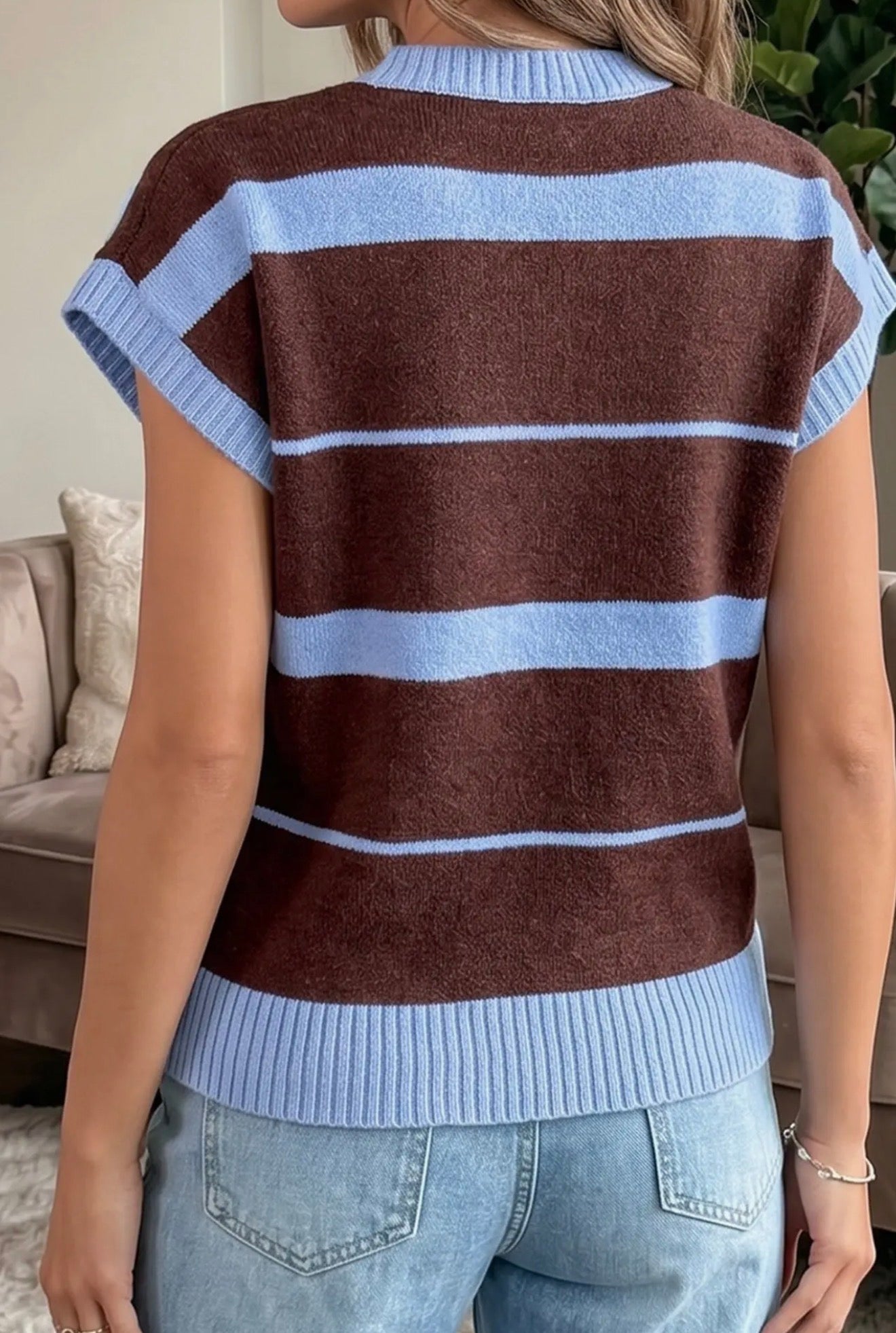 Blue/Brown Casual Knit Top