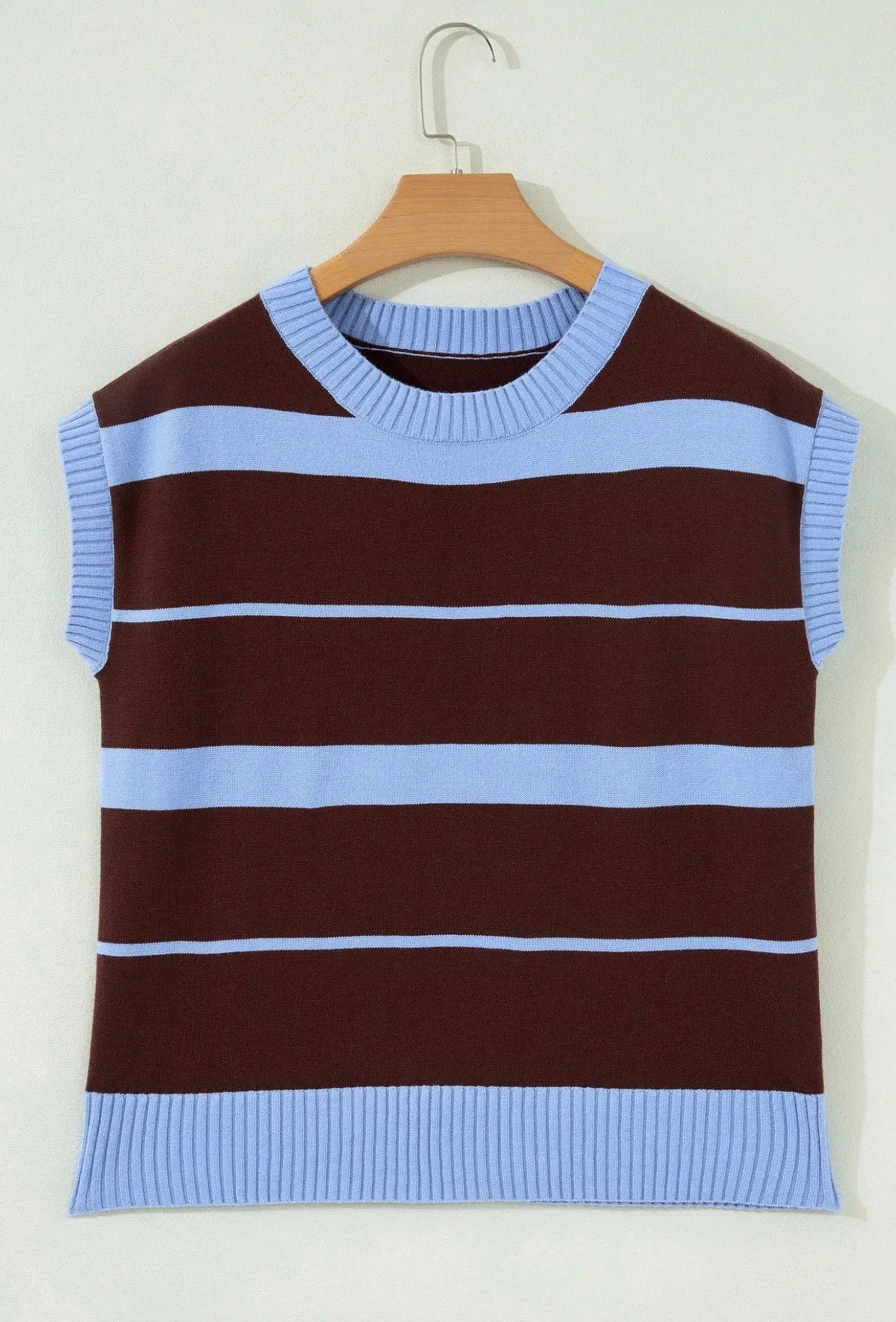 Blue/Brown Casual Knit Top